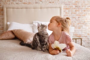 cats for kids