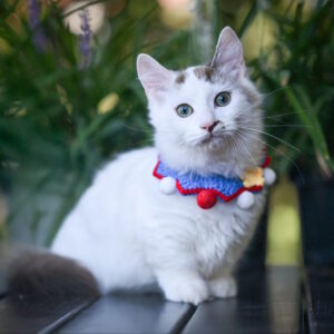Santos Munchkin