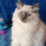 изображение_viber_2026-05-11_20-19-12-477